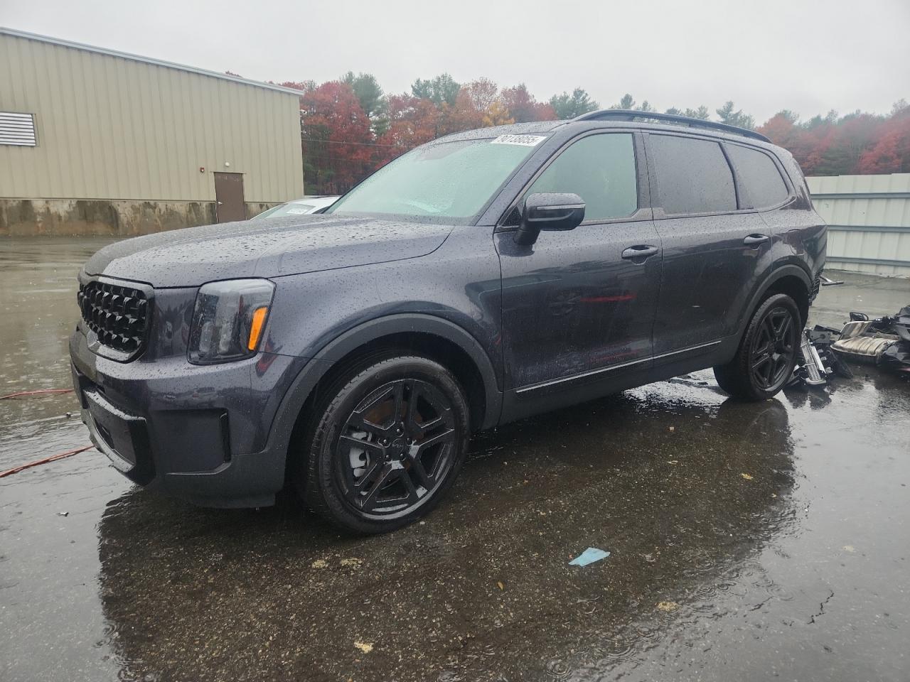 2025 Kia Telluride