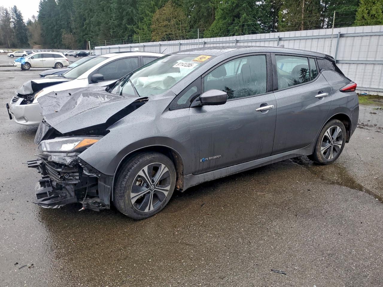 2019 Nissan Leaf