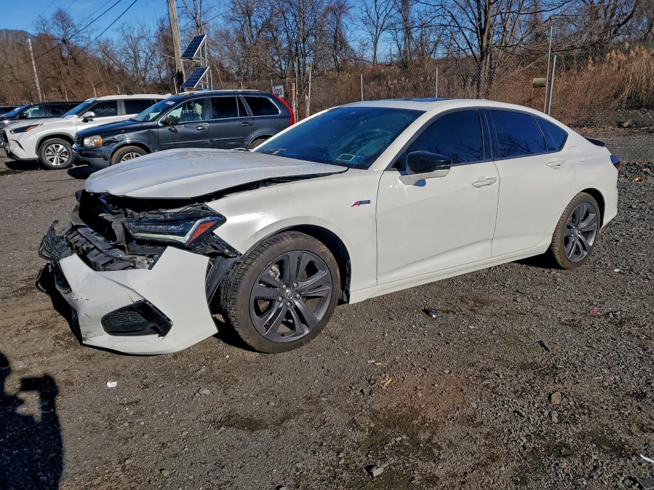 2023 Acura TLX