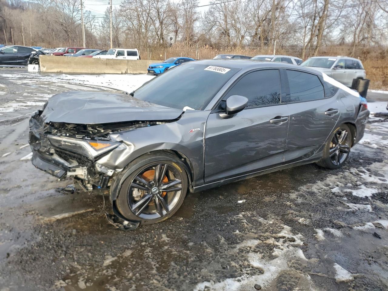 2025 Acura Integra