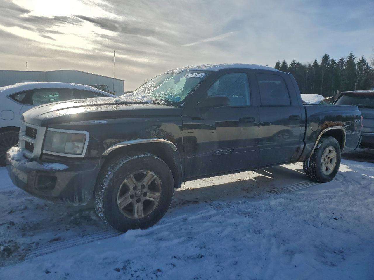 2011 Dodge Dakota
