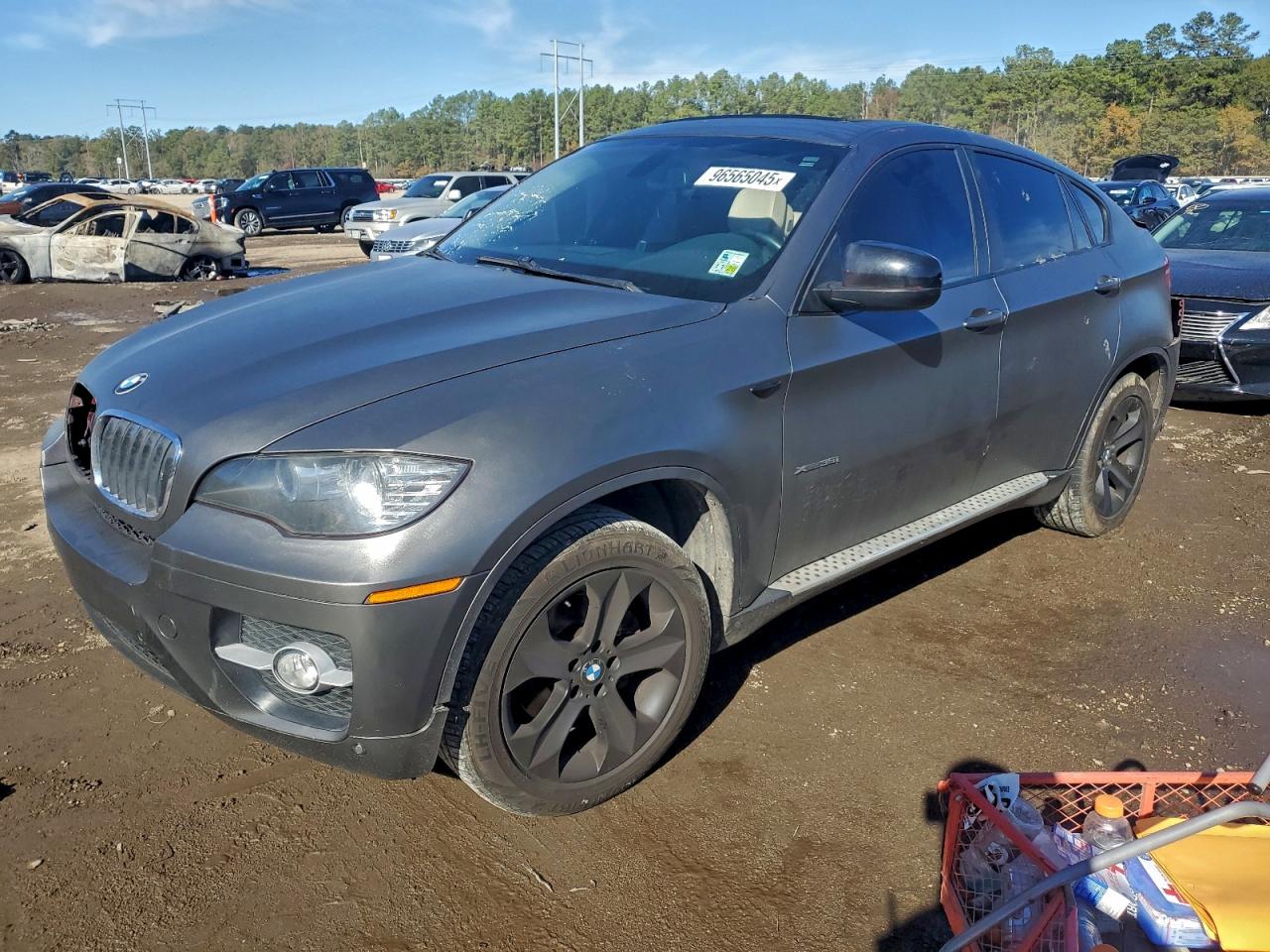 2011 BMW X6