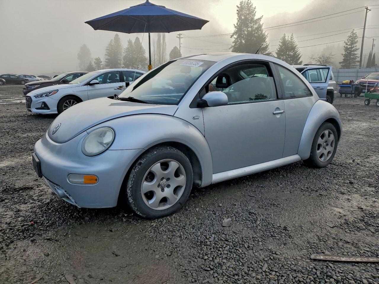 2002 Volkswagen Beetle