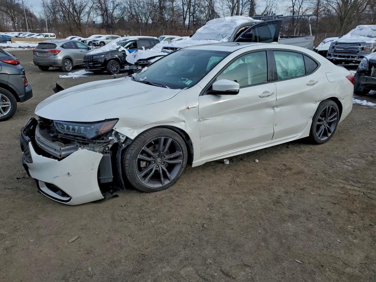 2019 Acura TLX