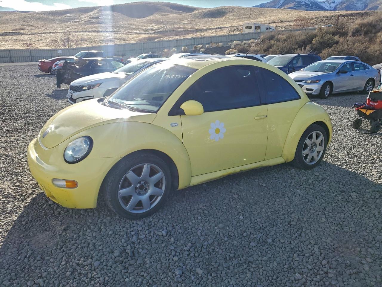 2002 Volkswagen Beetle