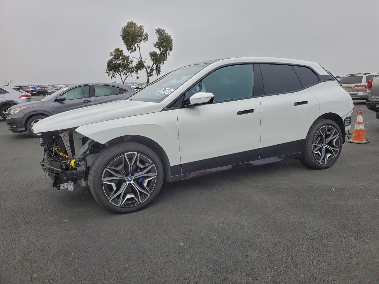 2024 BMW iX