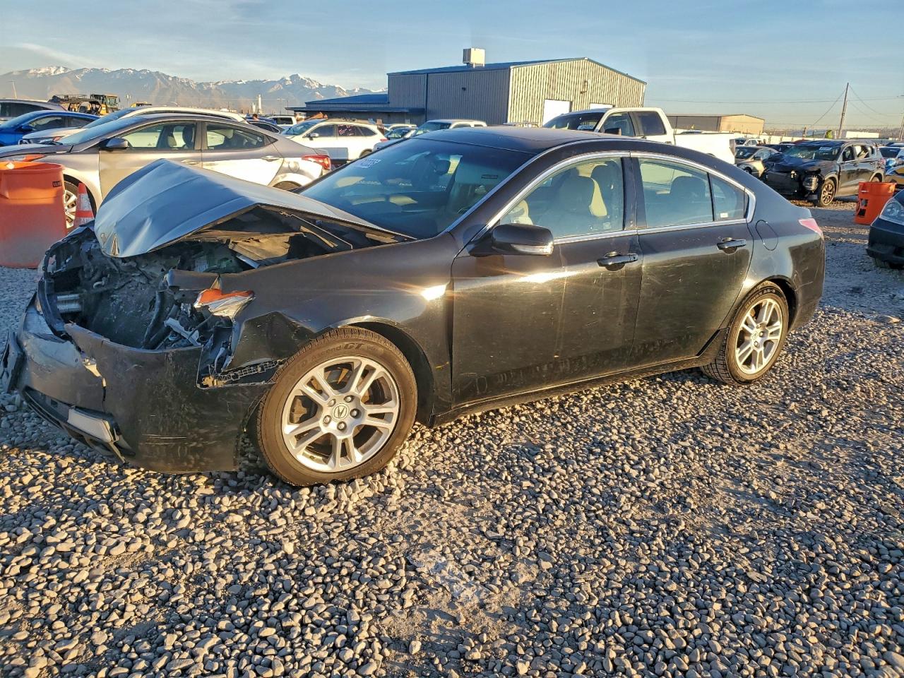 2009 Acura TL