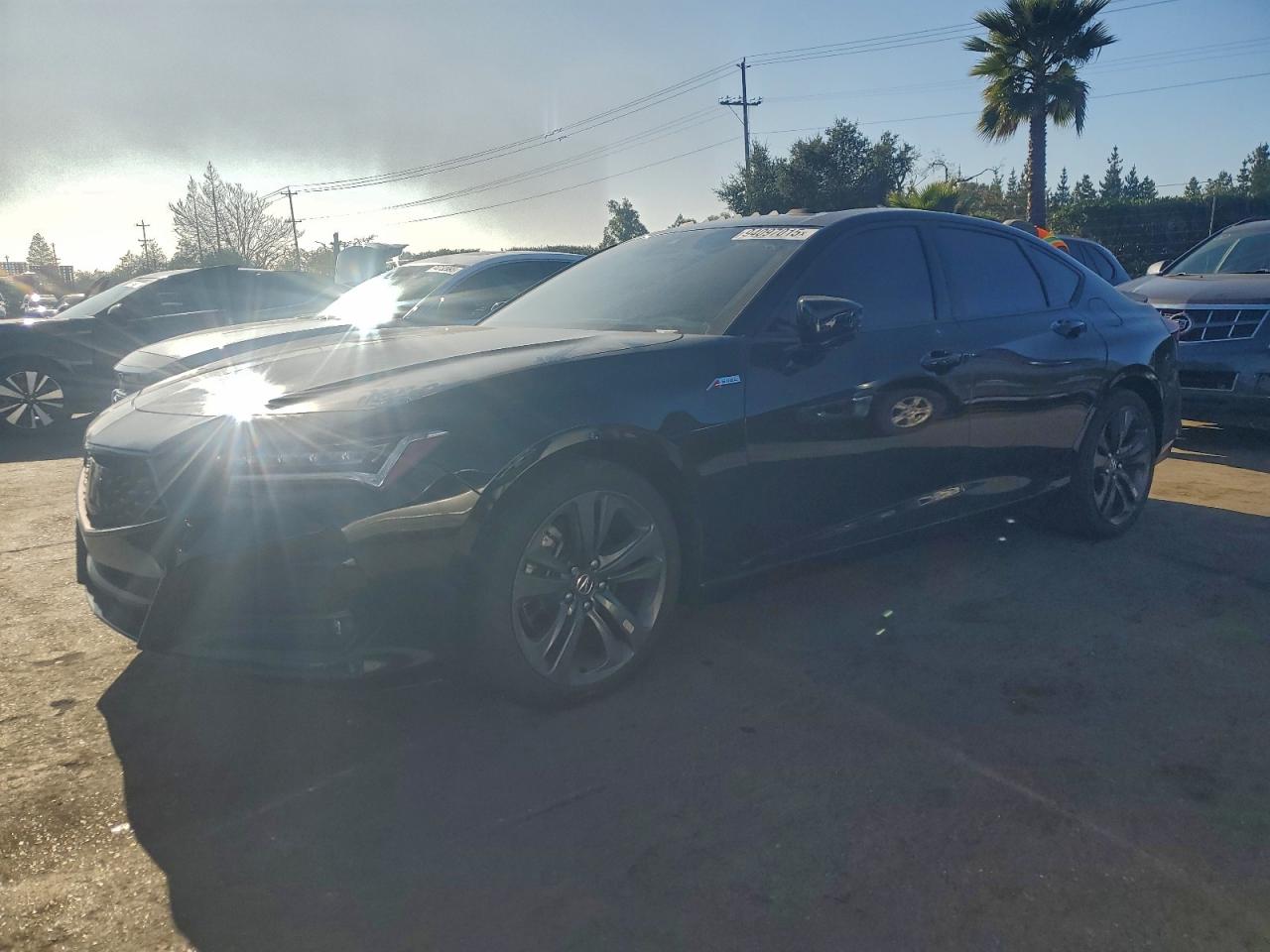2023 Acura TLX