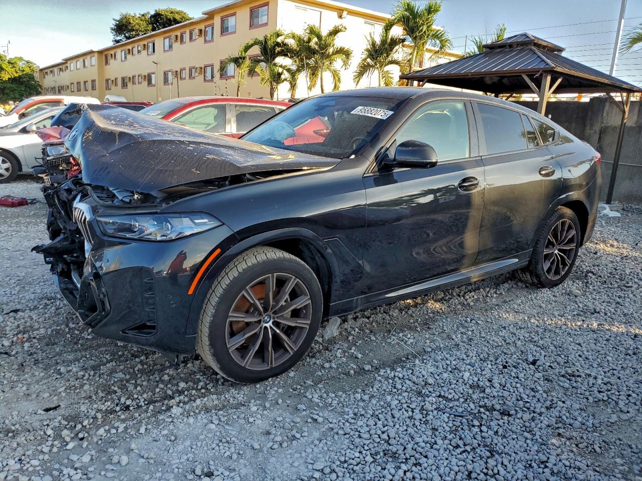 2024 BMW X6