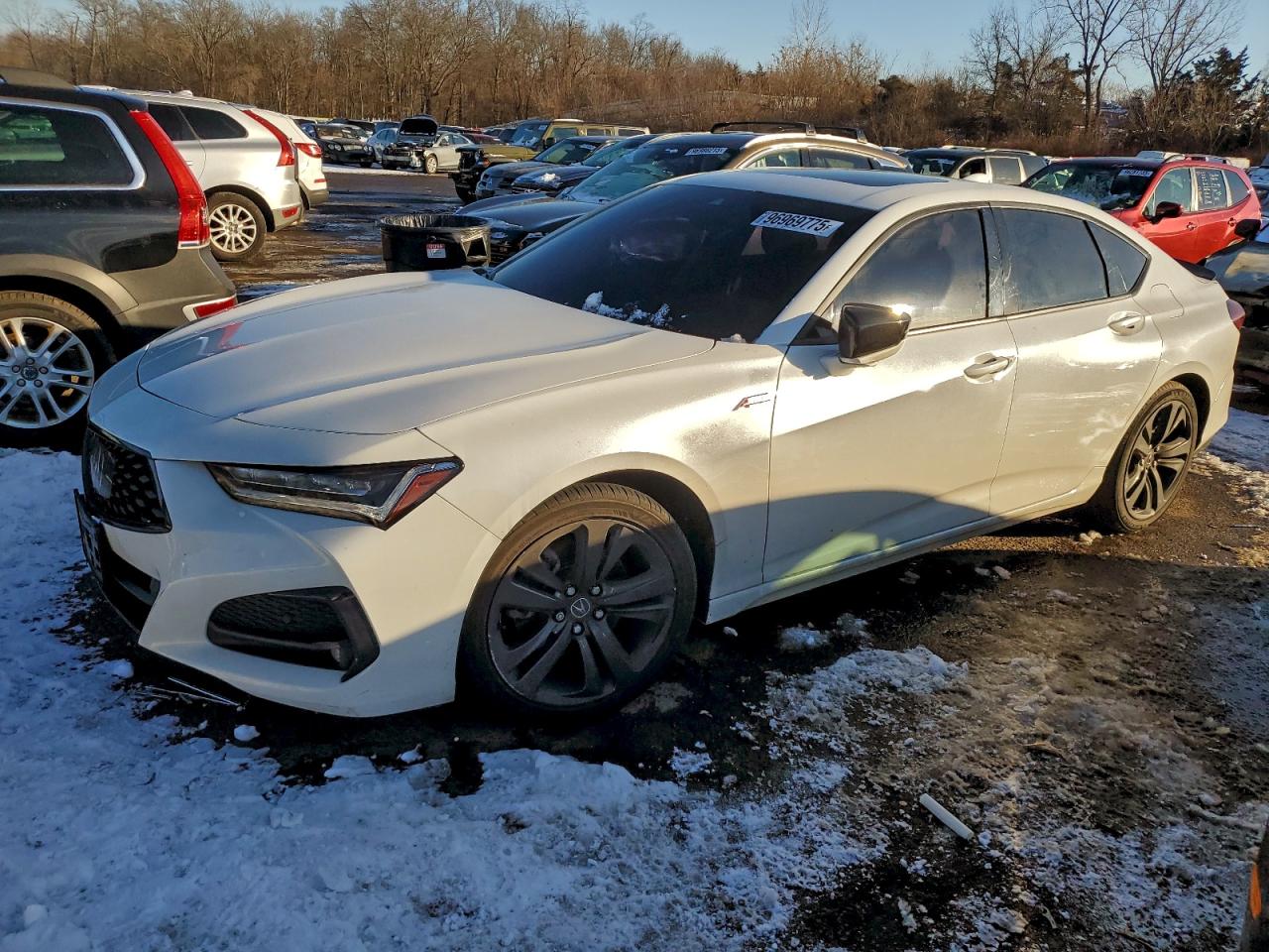 2021 Acura TLX