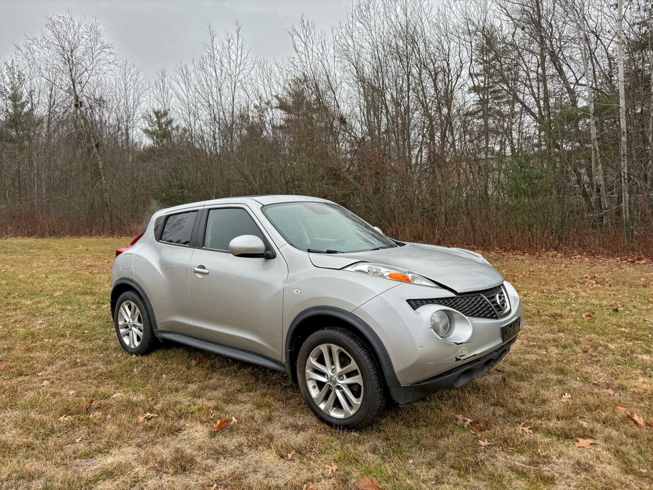 2014 Nissan Juke