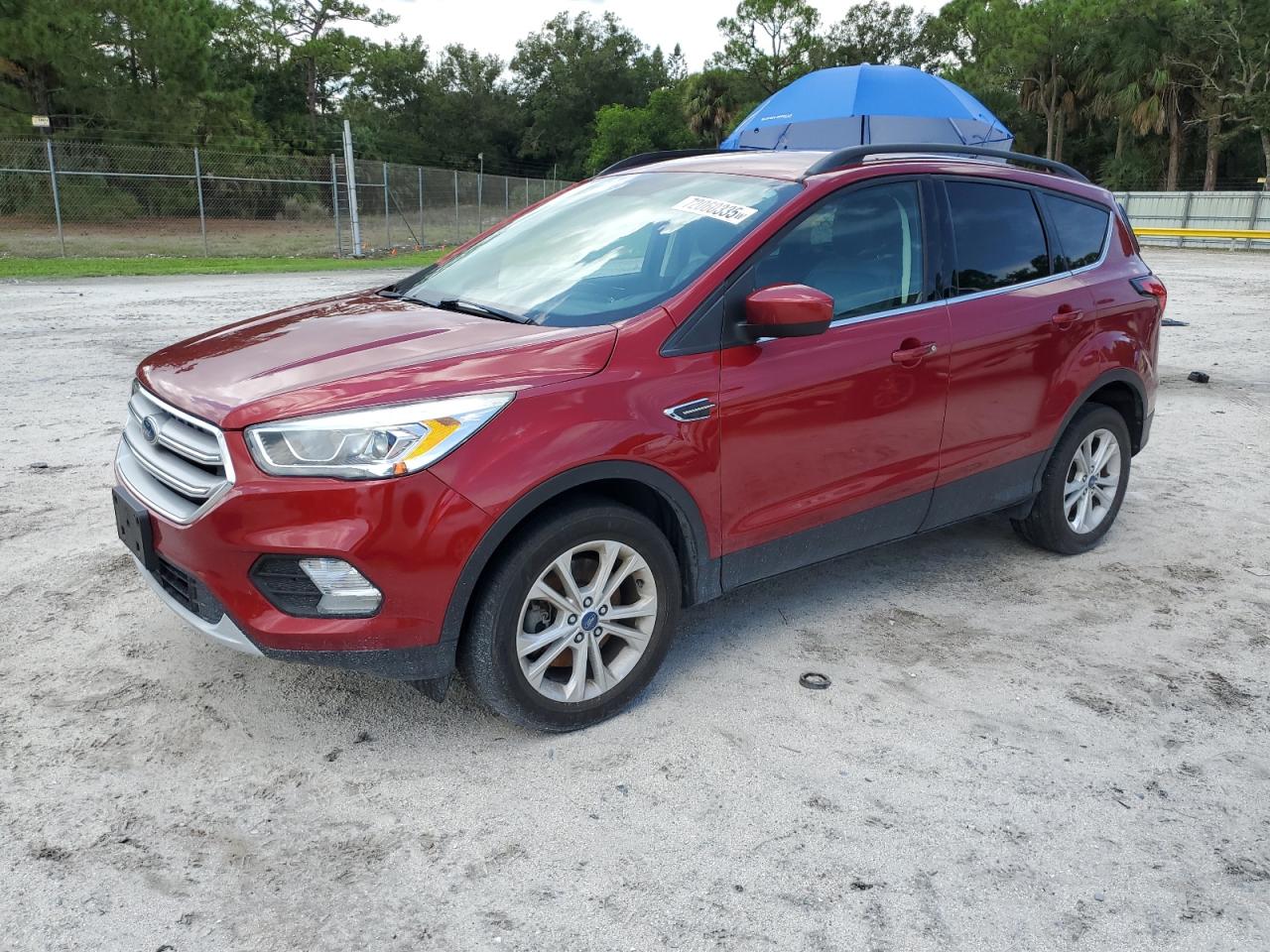 2019 Ford Escape sel SEL